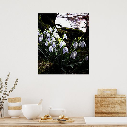 Snowdruppels per River Hafren Print (Keuken)