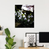 Snowdruppels per River Hafren Print (Thuiskantoor)