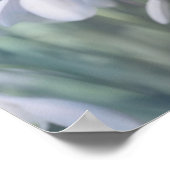 Snowdruppels Poster (Hoek)