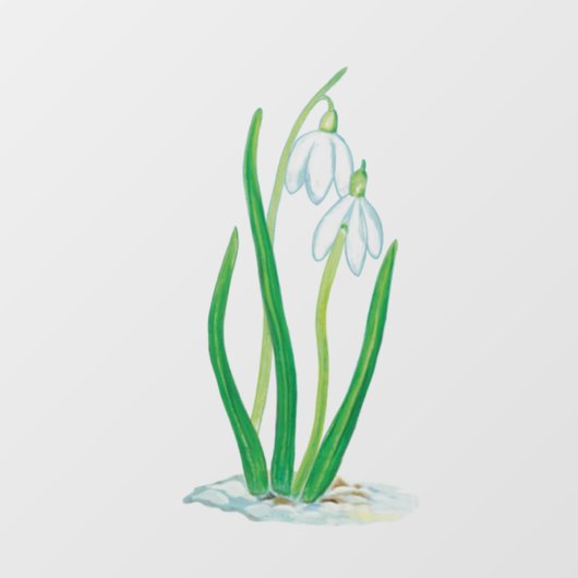 Snowdruppels Raamsticker (Vel)