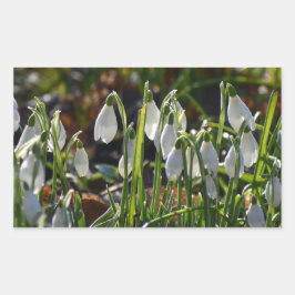 Snowdruppels Rechthoekige Sticker