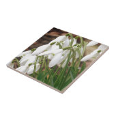 Snowdruppels Tegeltje (Zijkant)