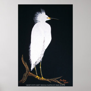 Snowey white egret poster