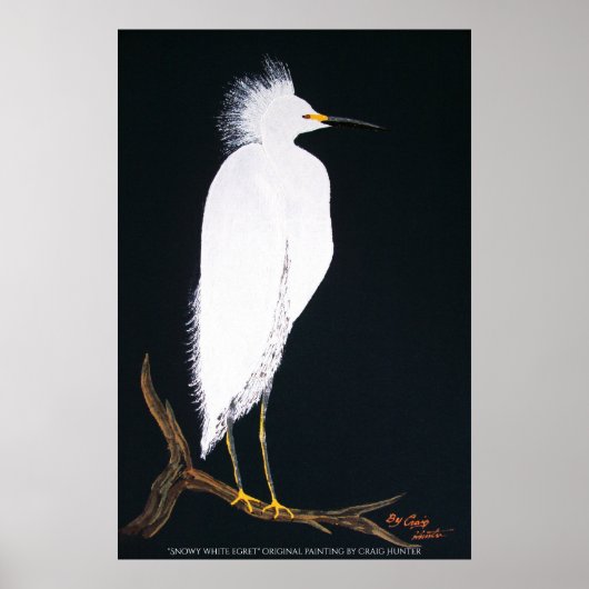 Snowey white egret poster (Voorkant)