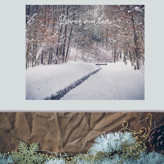 Snowfall bij de rotting van het park poster