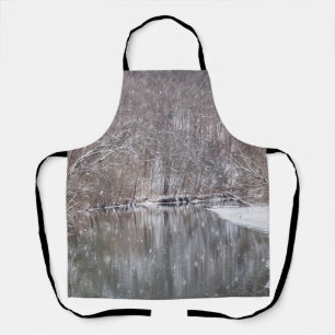 Snowfall over de Finley Schort