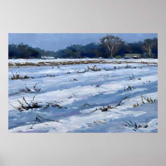 Snowfield Poster (Voorkant)