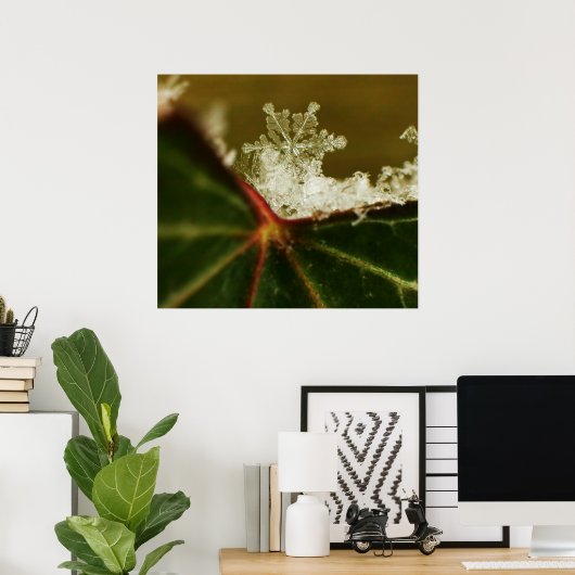 Snowflake 2009 Blizzard Poster (Thuiskantoor)