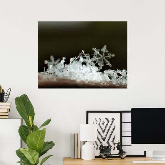 Snowflake 2009 Blizzard Poster (Thuiskantoor)