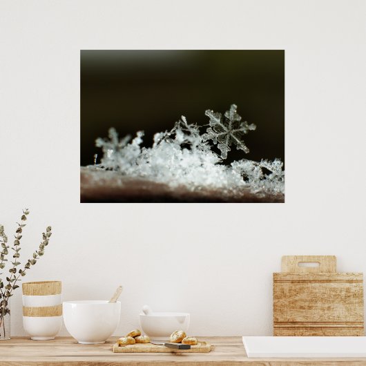 Snowflake 2009 Blizzard Poster (Keuken)