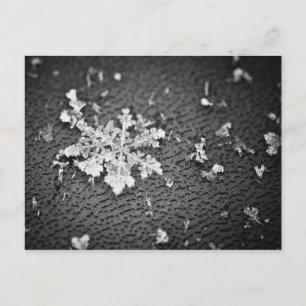 Snowflake Briefkaart
