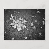 Snowflake Briefkaart (Voorkant)