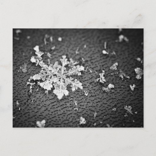 Snowflake Briefkaart (Voorkant)