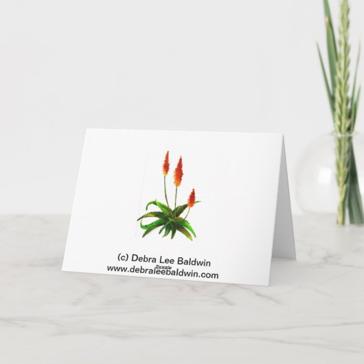 Snowflake cactus vakantie wenskaart feestdagen kaart (Achterkant)