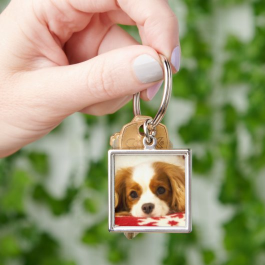 Snowflake Cavalier King Charles Spaniel Sleutelhanger (Hand)