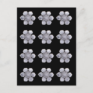 Snowflake Crystal Photos Briefkaart