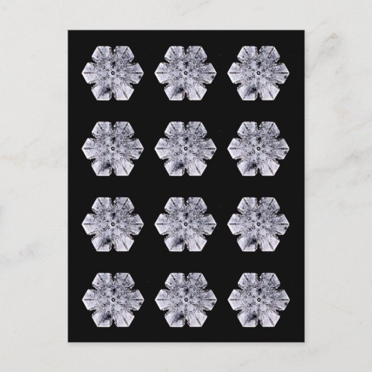 Snowflake Crystal Photos Briefkaart (Voorkant)