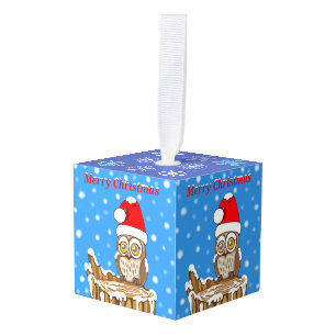Snowflake de Owl met Kerstmis Kubus Ornament