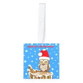 Snowflake de Owl met Kerstmis Kubus Ornament (Voorkant)