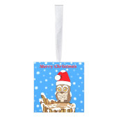 Snowflake de Owl met Kerstmis Kubus Ornament (Rechts)