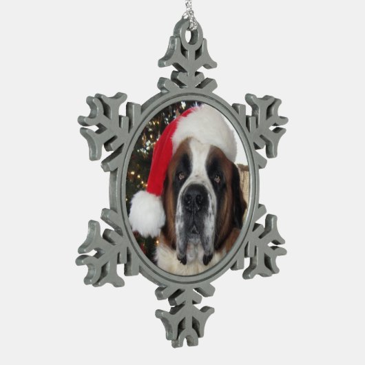 Snowflake Framed Ornament (Links)