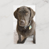 Snowflake geprinte chocolade labrador Retriever Visitekaartje (Voorkant)