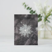 Snowflake lagen - Macro Briefkaart (Staand voorkant)