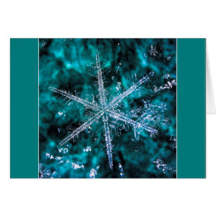 Snowflake Macro Foto voegt uw eigen tekaart toe
