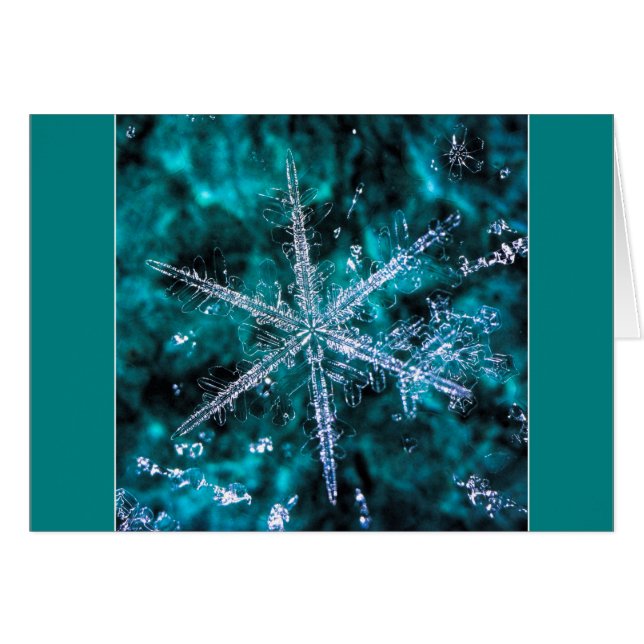 Snowflake Macro Photo ajouter votre propre carte t (Devant horizontal)