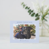 Snowflake Modern Family Photo Carte de vacances (Debout devant)