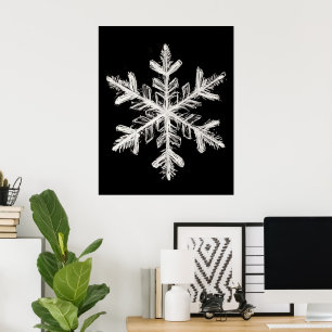 Snowflake muur kunst poster
