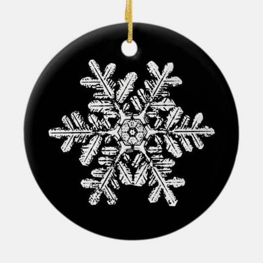 Snowflake Photo Ornament (Achterkant)