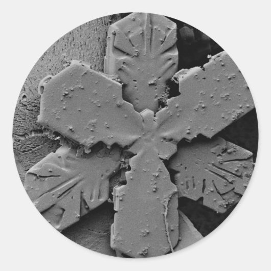 Snowflake Ronde Sticker (Voorkant)