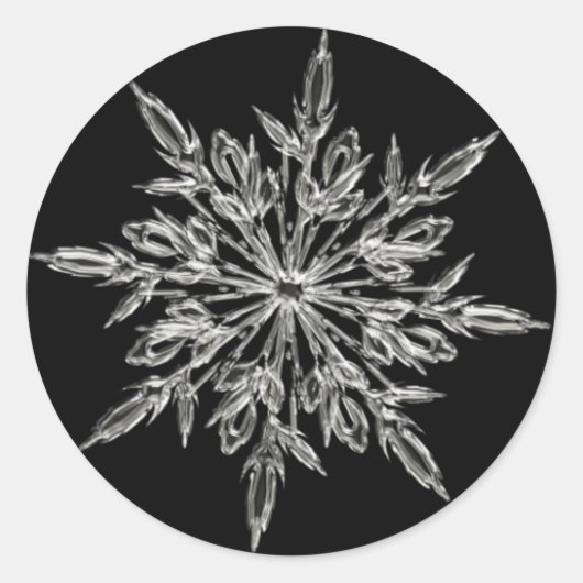 Snowflake Round Sticker (Voorkant)