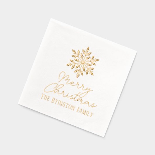 Snowflake Script Holiday Grey Nom de famille (Gauche)