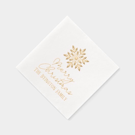 Snowflake Script Holiday Grey Nom de famille (Droite)