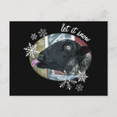 Snowflake Sheep : Qu'il neige ! Carte postale de (Devant)