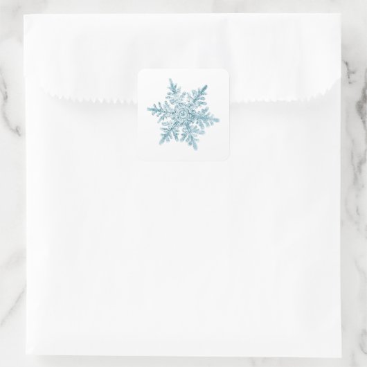 Snowflake Stickers (Tas)