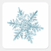 Snowflake Stickers (Voorkant)