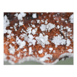 Snowflakes foto afdruk