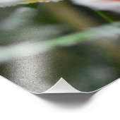 Snowflakes  foto afdruk (Hoek)