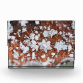 Snowflakes  fotoblokken (Voorkant)