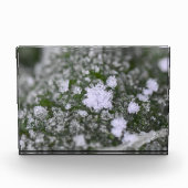 Snowflakes  fotoblokken (Voorkant)