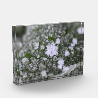 Snowflakes fotoblokken