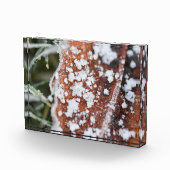 Snowflakes  fotoblokken (Rechts)