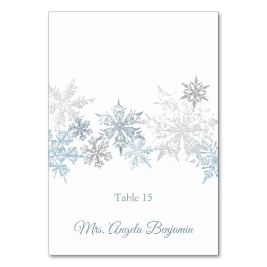 Snowflakes Mariage d'hiver Elégante carte de place (Par défaut)