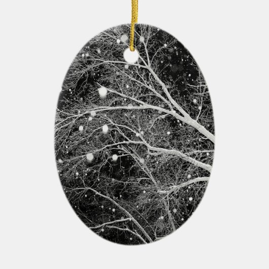 Snowflakes Photo Xmas Tree Keepsaké Décorations (Devant)