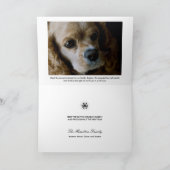 Snowflakes Starry Noël/ Cartes photos de vacances (Intérieur)