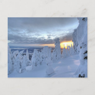 Snowghosts bij zonsondergang in het Whitefish Moun Briefkaart