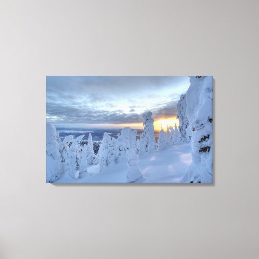 Snowghosts bij zonsondergang in het Whitefish Moun Canvas Afdruk (Voorkant)
